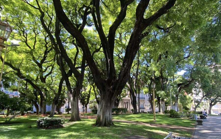 Buenos Aires: 7 Hour Small Group "BA 101" Walk - Should You Book BA 101?