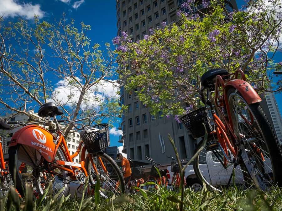 Buenos Aires Bike Tour: South or North Circuit - Getting Started at Defensa 831 (What Your First 15 Minutes Feel Like)