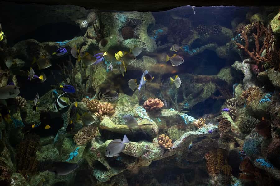 Buenos Aires: Bioparque Temaiken with Transfers - 360º cinema: a good break during your free time