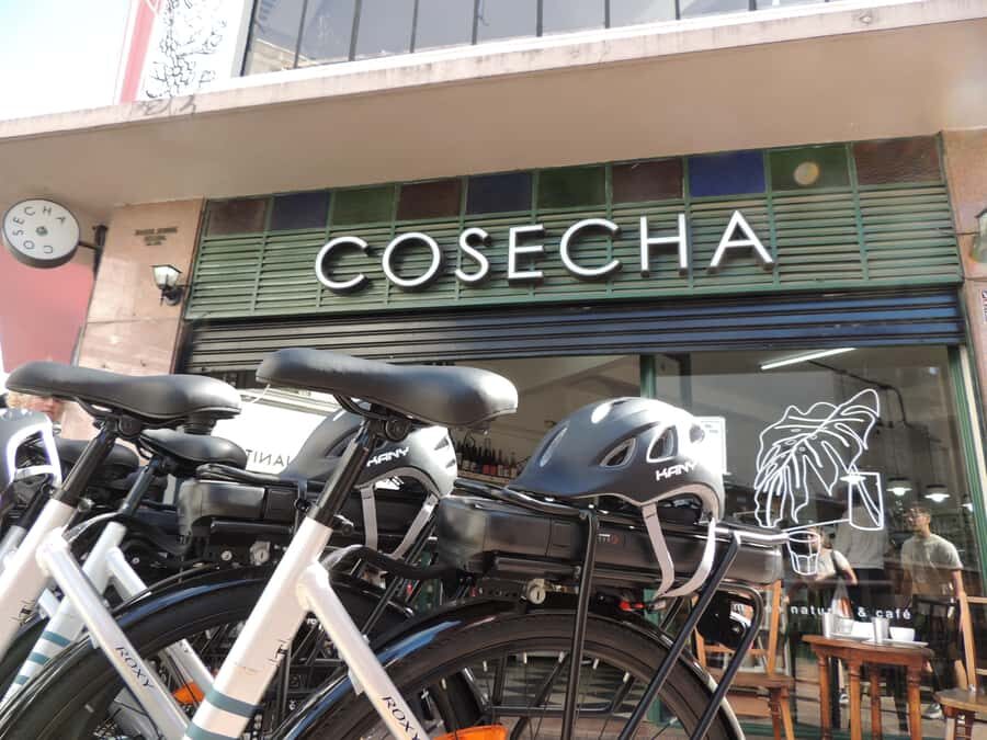 Buenos Aires: E-Bike Tour in the South Circuit of Buenos Aires - Parque Lezama and the walk-past stops that still matter