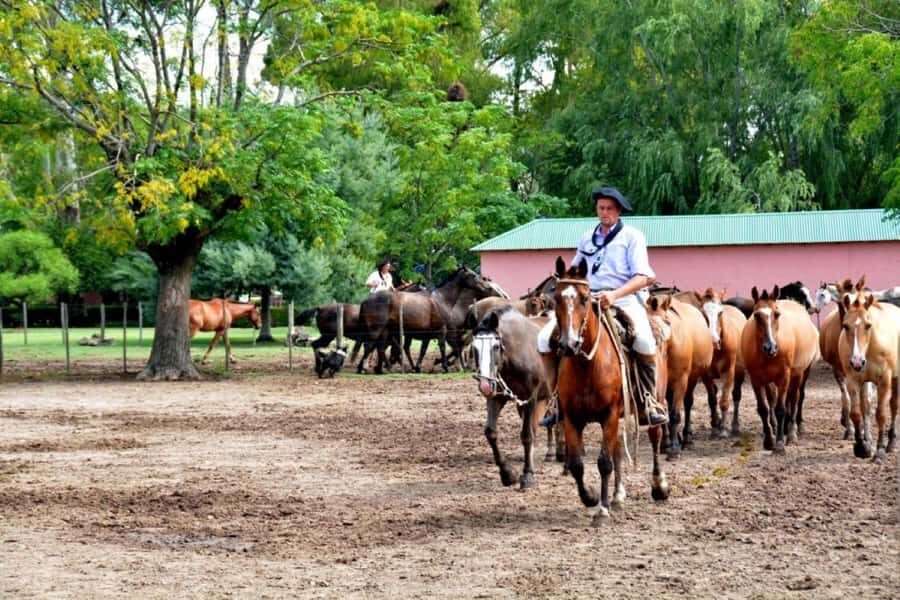 Buenos Aires: Santa Susana Ranch Day Tour, BBQ & Shows - Key Things That Make This Ranch Day Worth Your Time
