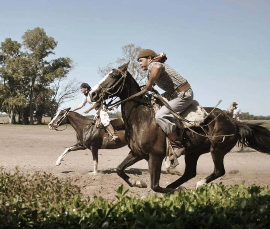Buenos Aires: Santa Susana Ranch Day Tour, BBQ & Shows - The 8-Hour Rhythm: From City Pickup to Ranch Finale