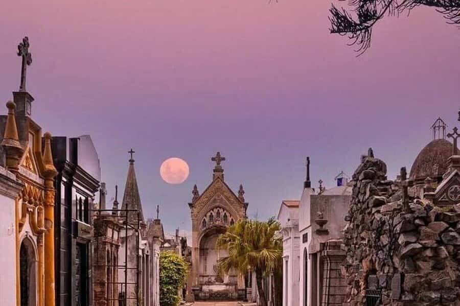 Buenos Aires: Small Group City Highlights Tour - San Telmo and La Boca: Mafalda, Tango Houses, and the Road to Caminito