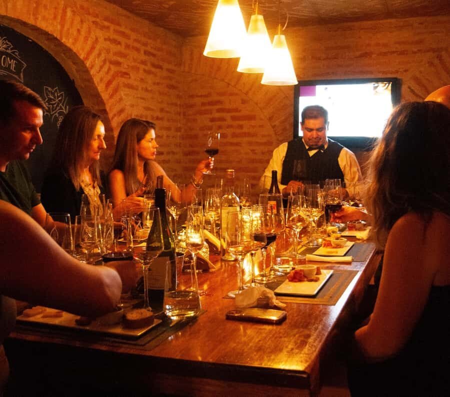 Buenos Aires: Small-Group Wine Tasting - The sommelier experience: structured guidance with room for questions