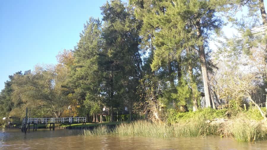 Buenos Aires: Ticket - Classic Delta of Tigre Boat Tour - Landmarks You’ll See: From Parque de la Costa to the Museums