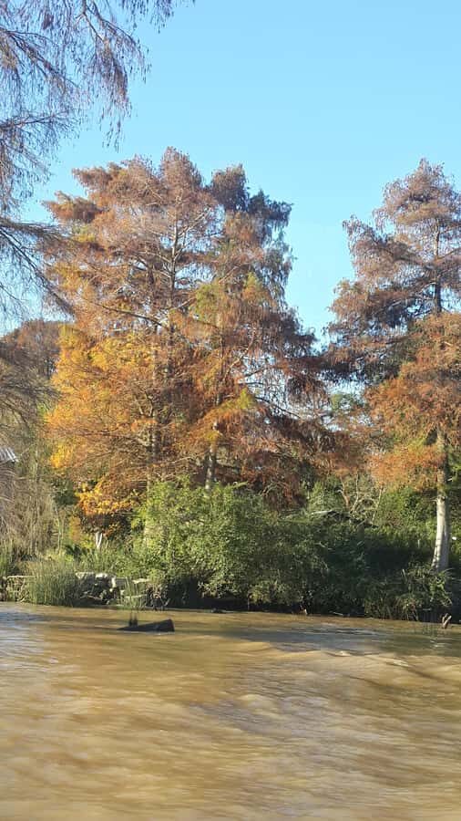 Buenos Aires: Ticket - Classic Delta of Tigre Boat Tour - Value and Timing: Is $27 for a 1-Hour Boat Cruise a Good Deal?