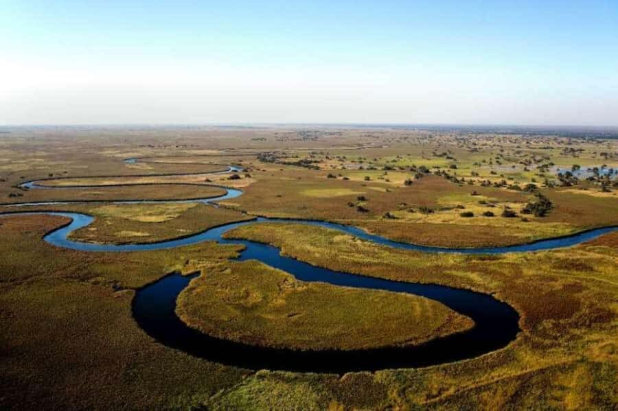 Buenos Aires: Tigre Delta Premium Boat Tour - Languages and guide style: you’ll get context, not just sightseeing