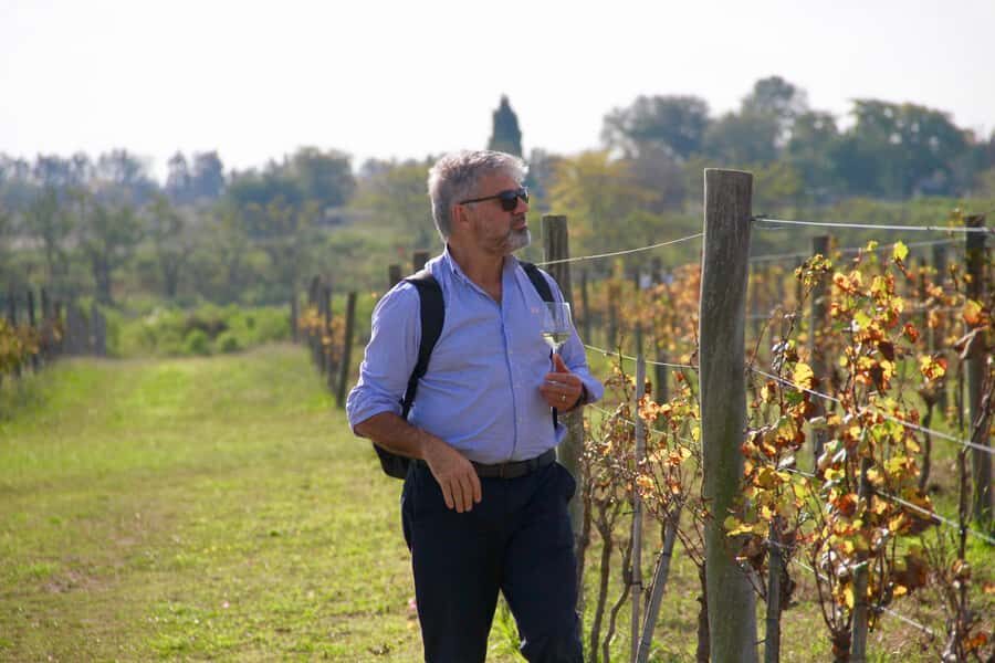 Buenos Aires: Wine Tasting and Lunch at Bodega Gamboa - Lunch at the winery: multi-course timing, dessert, and diet options that are actually useful