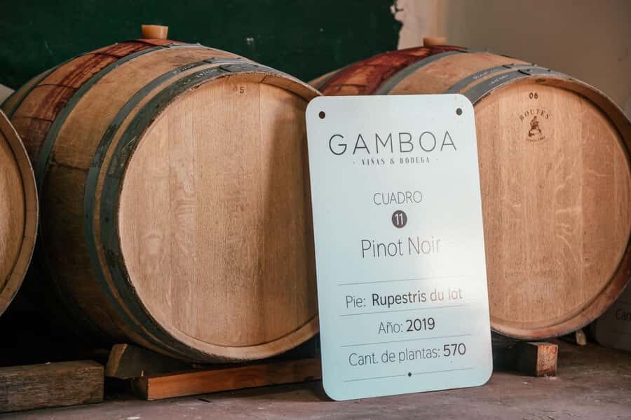 Buenos Aires: Wine Tasting and Lunch at Bodega Gamboa - The real value of views and countryside pace (without needing Mendoza)