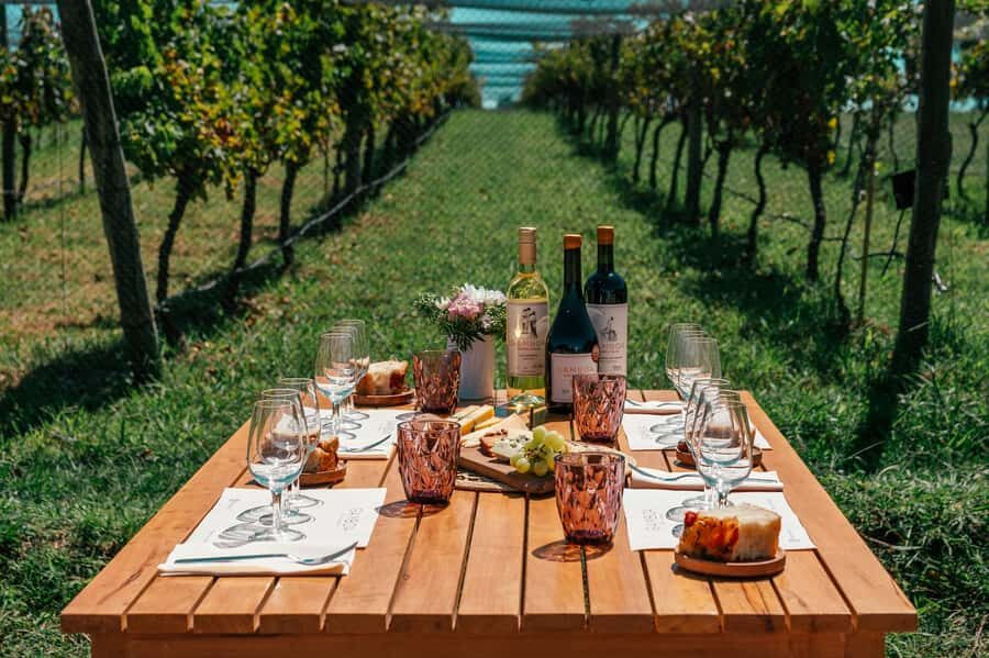 Buenos Aires: Wine Tasting & Lunch at Gamboa Vineyard - Key things I’d mark on your map