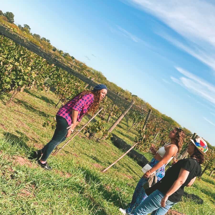 Enjoy a Rural Experience in a Vineyard near Buenos Aires - Key Things to Know Before You Go
