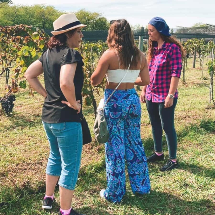 Enjoy a Rural Experience in a Vineyard near Buenos Aires - FAQ