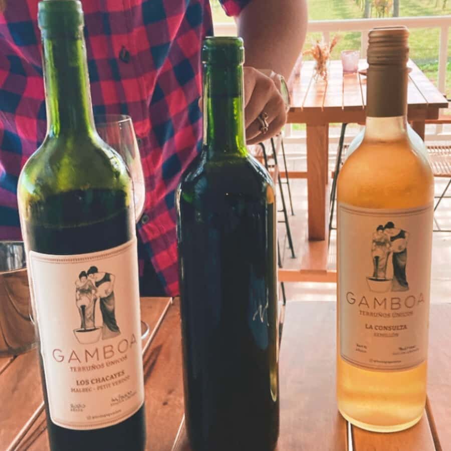 Enjoy a Rural Experience in a Vineyard near Buenos Aires - Guided Walk Through Vines and the Wine-Making Process