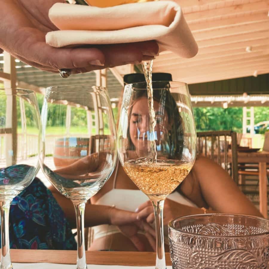 Enjoy a Rural Experience in a Vineyard near Buenos Aires - How the Tastings Work: Wine Plus Food Pairing (Not Random Sips)