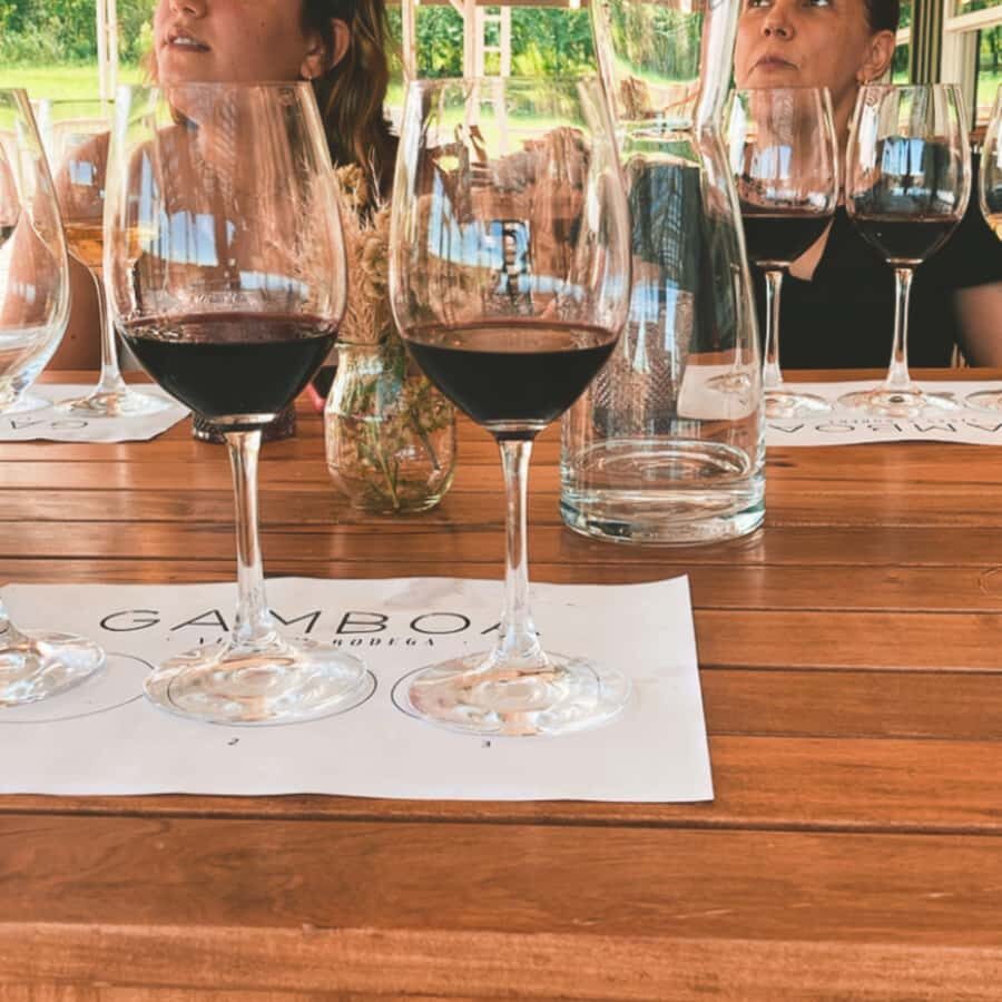Enjoy a Rural Experience in a Vineyard near Buenos Aires - The 4-Course Gourmet Lunch: Where the Value Really Shows