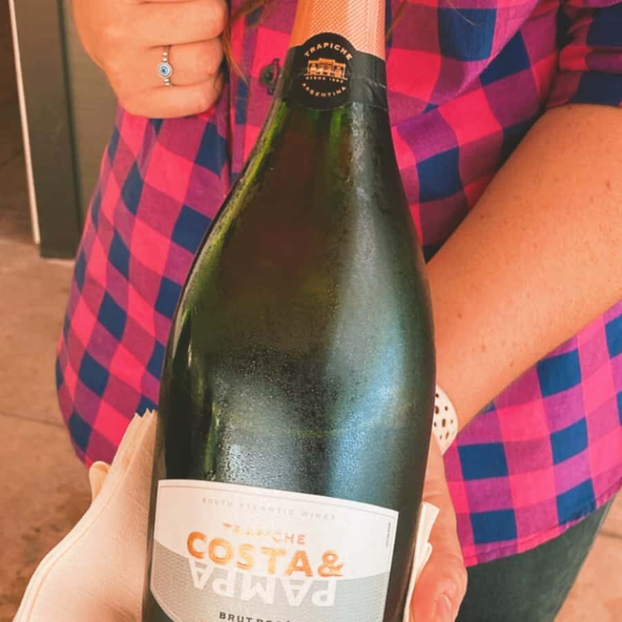 Enjoy a Rural Experience in a Vineyard near Buenos Aires - Price and Logistics: What You’re Paying For (and What You’re Not)