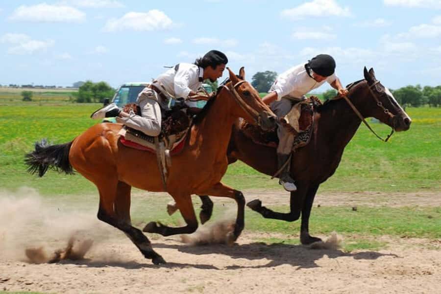 From Buenos Aires: Estancia Don Silvano Tour with Lunch. - Key things to know before you go