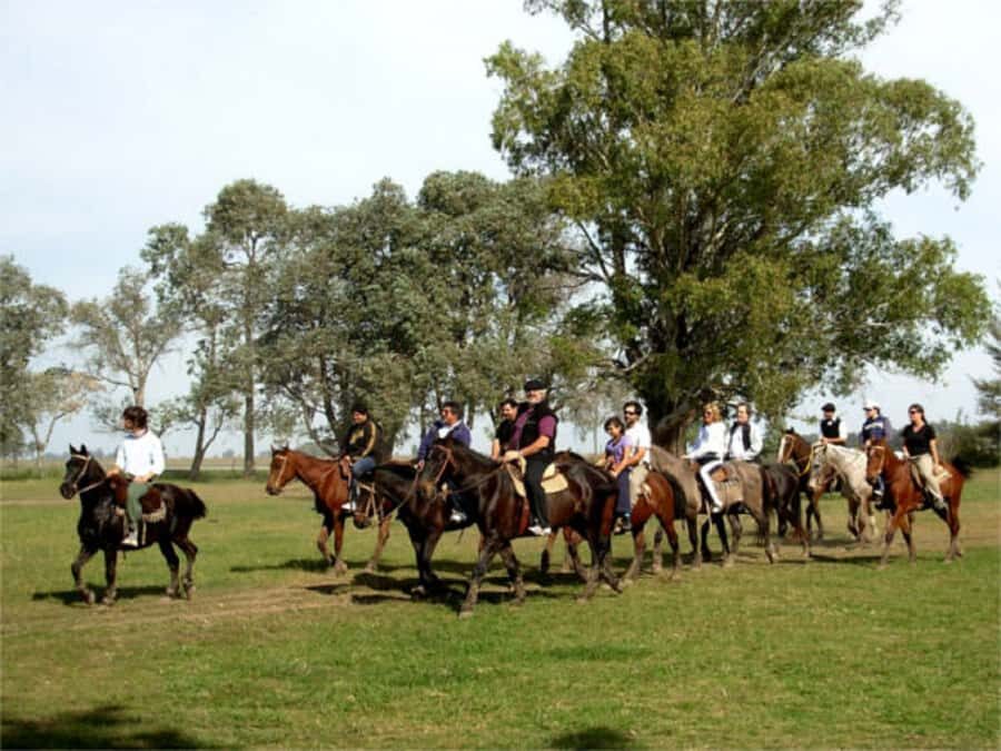 From Buenos Aires: Estancia Don Silvano Tour with Lunch. - The Silvano story: Italian roots, Irish land, Victorian casco