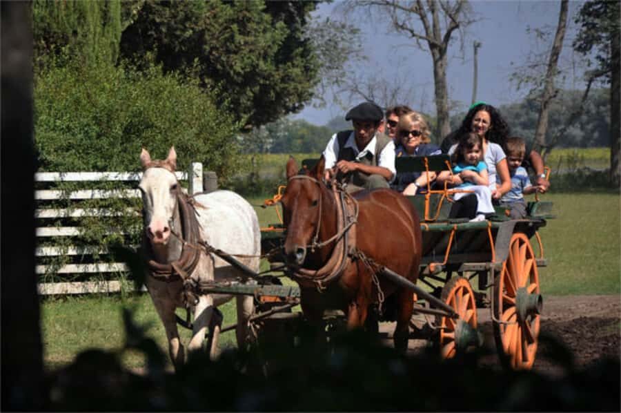 From Buenos Aires: Estancia Don Silvano Tour with Lunch. - From Buenos Aires to Exaltación de la Cruz: a full day with set timing