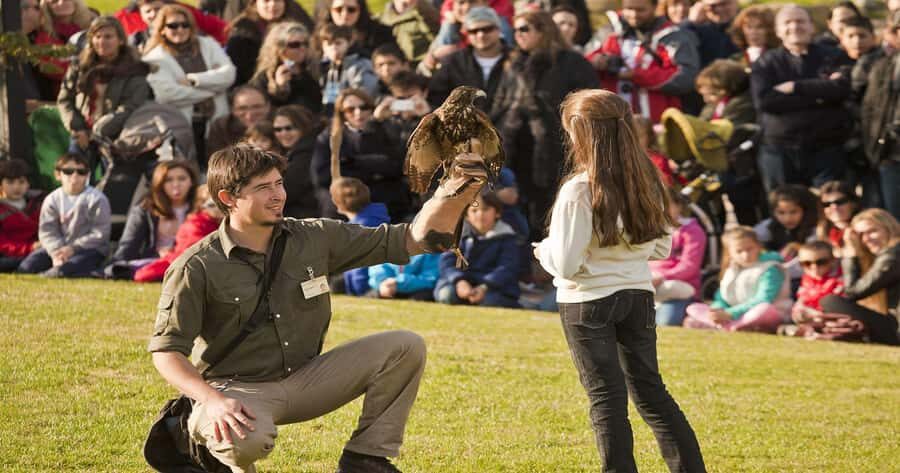 From Buenos Aires: Full-Day Temaiken Eco Park - Key highlights worth your time