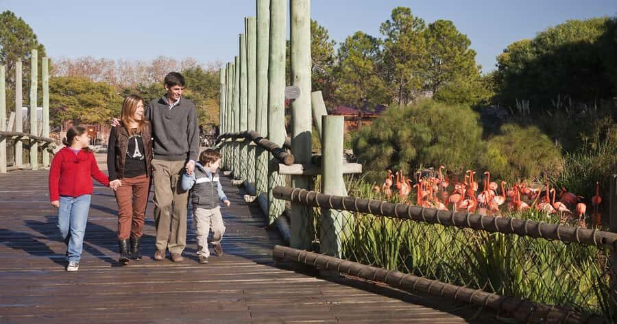 From Buenos Aires: Full-Day Temaiken Eco Park - Getting out of Buenos Aires: the transfer that sets the tone