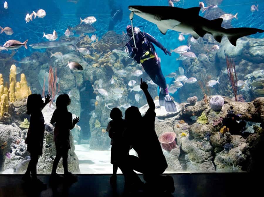 From Buenos Aires: Full-Day Temaiken Eco Park - Your 6 hours inside: how to pace the visit