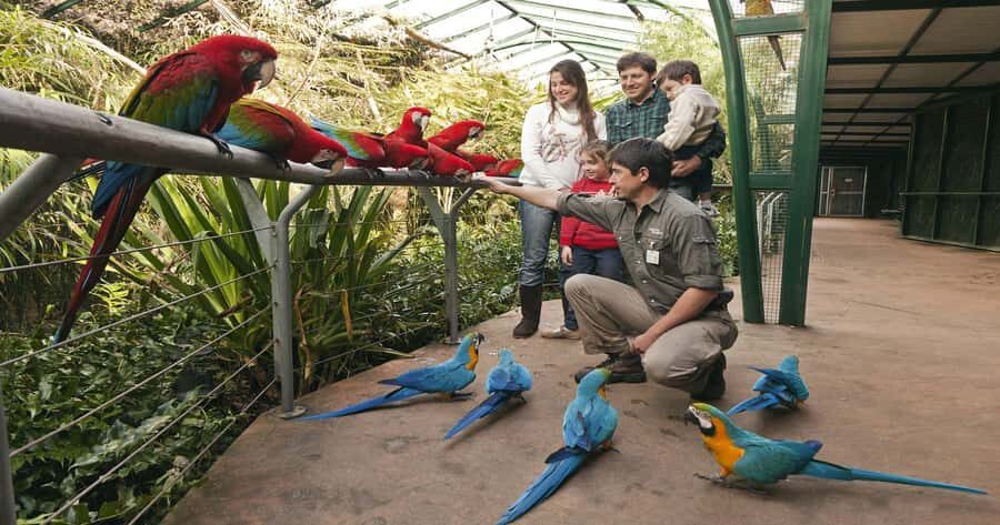 From Buenos Aires: Full-Day Temaiken Eco Park - Who this day trip suits best (and who should rethink it)