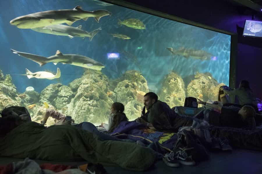 From Buenos Aires: Full-Day Temaiken Eco Park - Should you book this Temaiken day trip from Buenos Aires?