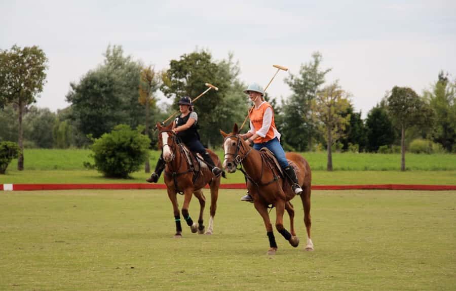 From Buenos Aires: Polo Match, Lesson, and BBQ Day-Trip - What Makes This Polo Day Worth Your Time