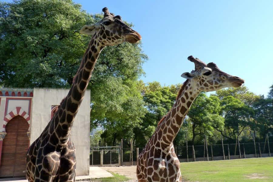 From Buenos Aires: Temaiken Zoo Tour with Ticket Included - Key highlights I’d prioritize before you book