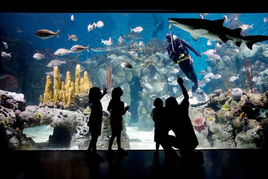 From Buenos Aires: Temaiken Zoo Tour with Ticket Included - Should you book this Temaikén Biopark tour from Buenos Aires?