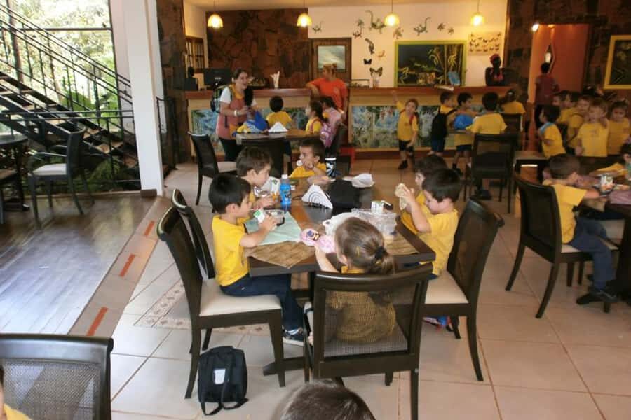 From Iguazú: Explore natural diversity at the Biocenter - Who this Biocenter tour suits best