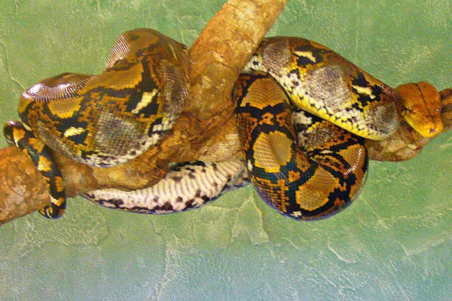 From Iguazú: Explore natural diversity at the Biocenter - Pickup, timing, and how long you’ll really be inside