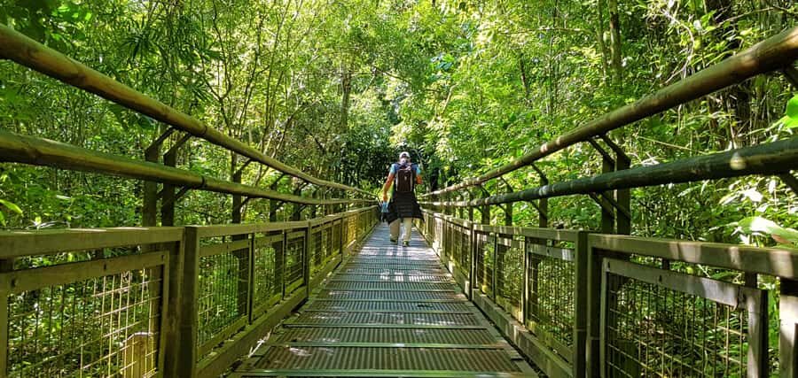 From Puerto Iguazu: Argentinian Iguazu Falls with Boat Ride - The 8-hour rhythm: what to expect when time is flexible