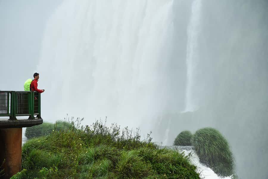 From Puerto Iguazu: Half-Day Brazilian Falls Excursion - Jungle Trails and Wildlife: Slow Down for the Quiet Moments