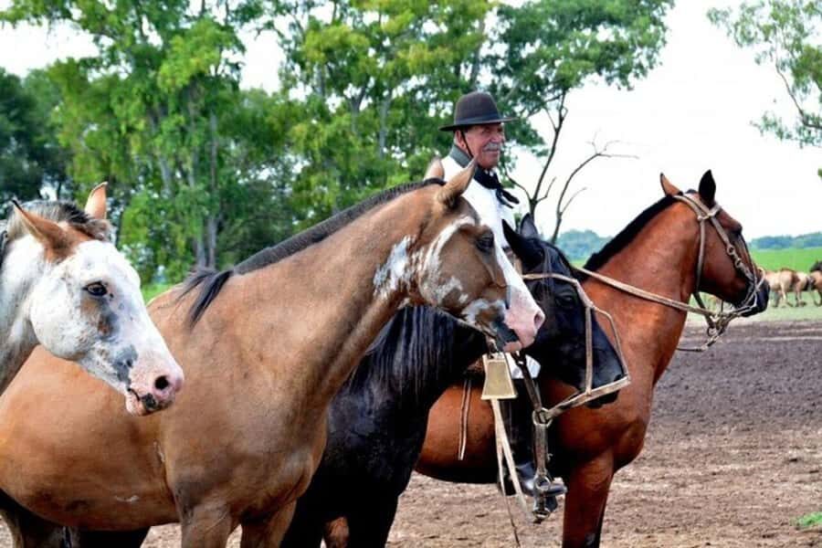 Full-Day at Santa Susana Ranch with BBQ, Drinks and Show - Gauchos in action: boleadoras, ring race, herding, and cuadreras