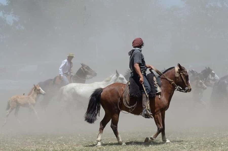 Full-Day at Santa Susana Ranch with BBQ, Drinks and Show - Afternoon mate, pastries, and a cool-down before the finish