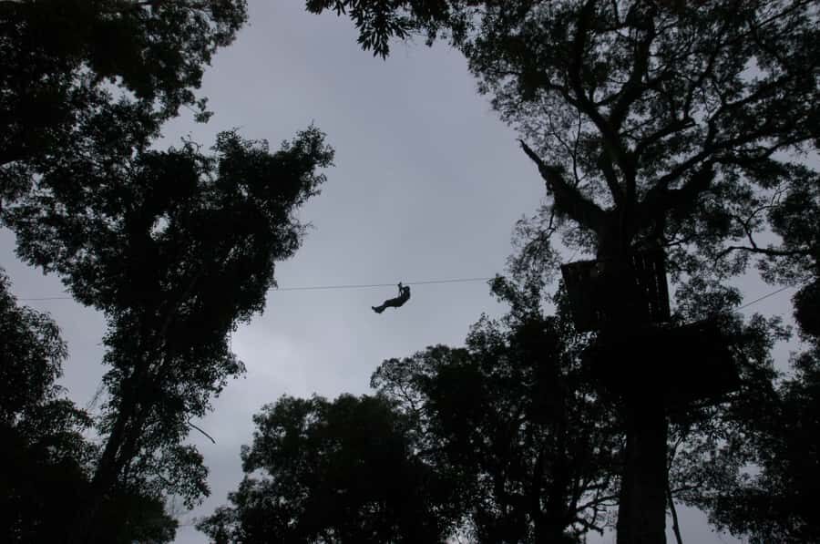 Half-Day Iguazú Forest Adventure - Pickup and timing: when the day can feel transport-heavy