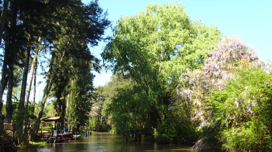 Navigation in Delta of Tigre - Exclusive semi private tour - Practical notes: who should book, and who should skip it