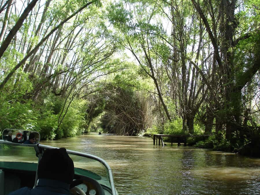 Navigation in Delta of Tigre - Exclusive semi private tour - Two hours of navigation: wider rivers, then narrow branches