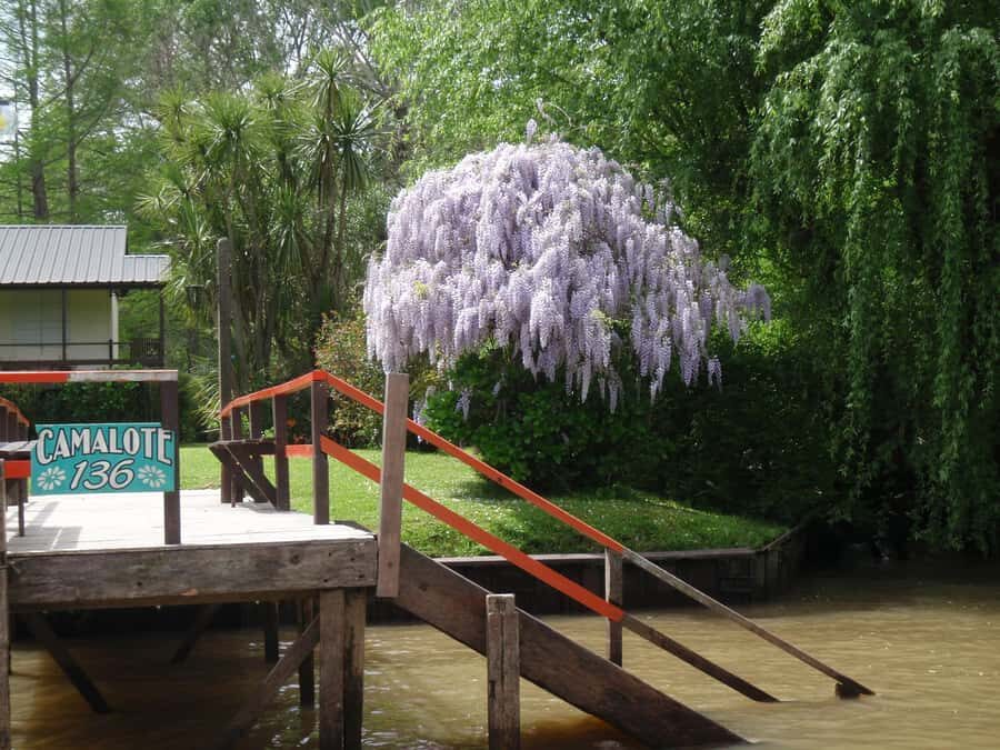 Navigation in Delta of Tigre - Exclusive semi private tour - Weather rules in Argentina: the rain plan actually matters