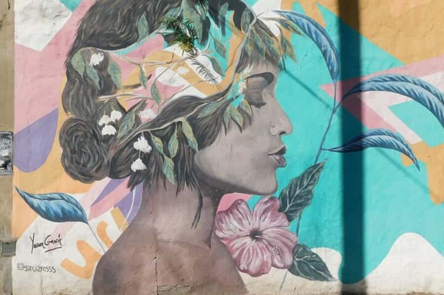 Premium Argentinian Wine and Malbec Tasting & Urban Art Tour - Palermo Soho street walk: culture you can feel while you move