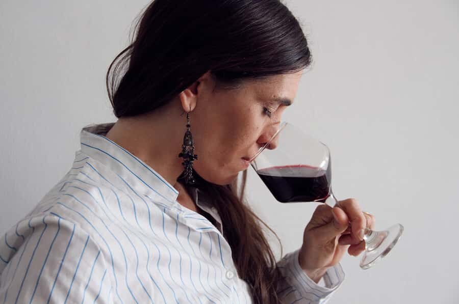 Premium Argentinian Wines and Malbec Tasting Experience - Mendoza, Salta, and Patagonia: turning three regions into real flavor
