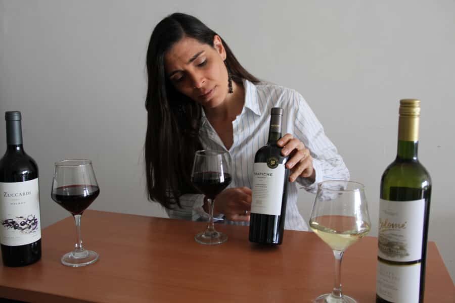Premium Argentinian Wines and Malbec Tasting Experience - Price and value: does $50 make sense?
