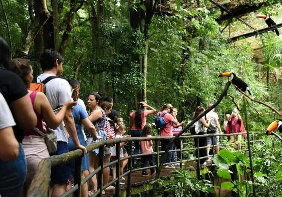 Puerto Iguazu: Iguaza Falls Brazilian Side & Bird Park Tour - The falls viewpoints: what you’ll see from Brazil