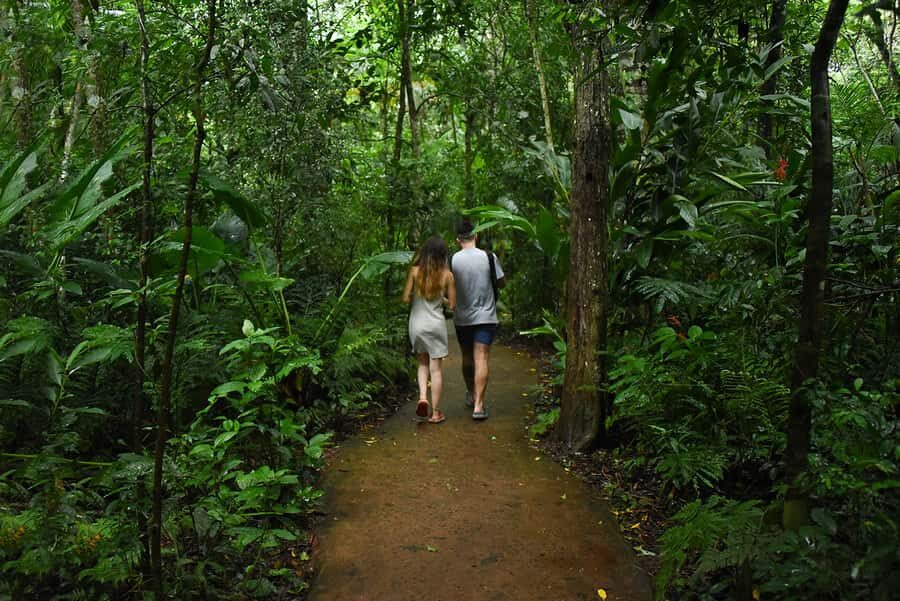 Puerto Iguazu: Iguaza Falls Brazilian Side & Bird Park Tour - Who should book this Brazil-side + Bird Park tour?