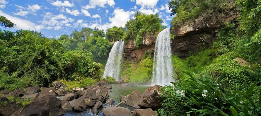 Puerto Iguazu: Iguazu Falls Argentinian Side Full-Day Tour - Jungle Trails Beyond the Falls: Macuco and Wildlife Chances