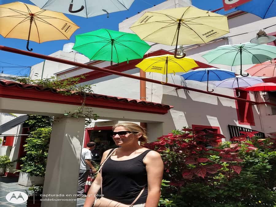 San Telmo Private Guided amazing Walking Tour - San Telmo Market: more than shopping, it’s a time capsule