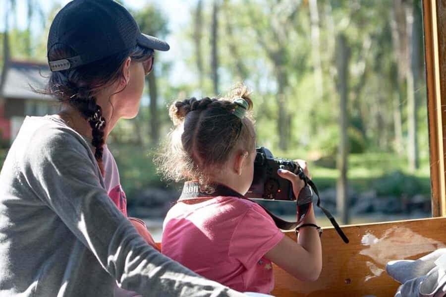Tigre: River Delta Panoramic Boat Tour - A One-Hour Delta Break from Buenos Aires