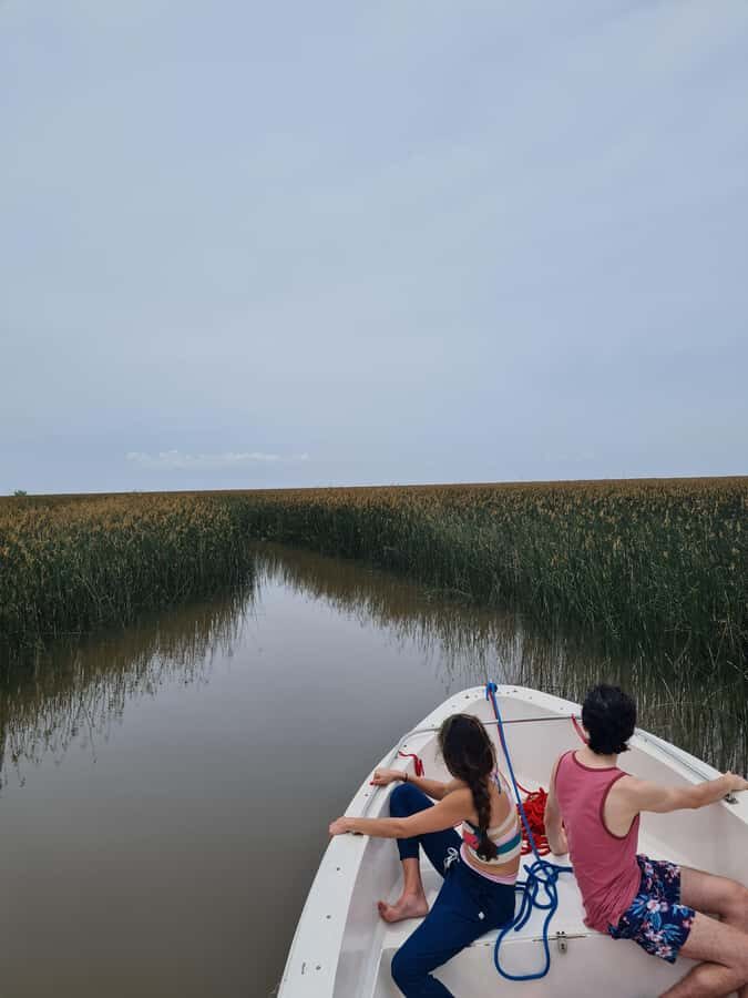 Tigre: Safari Náutico en Tigre/ Biosphere Reserve Boat Tour - Tigre’s Delta Safari: Why this boat day feels different